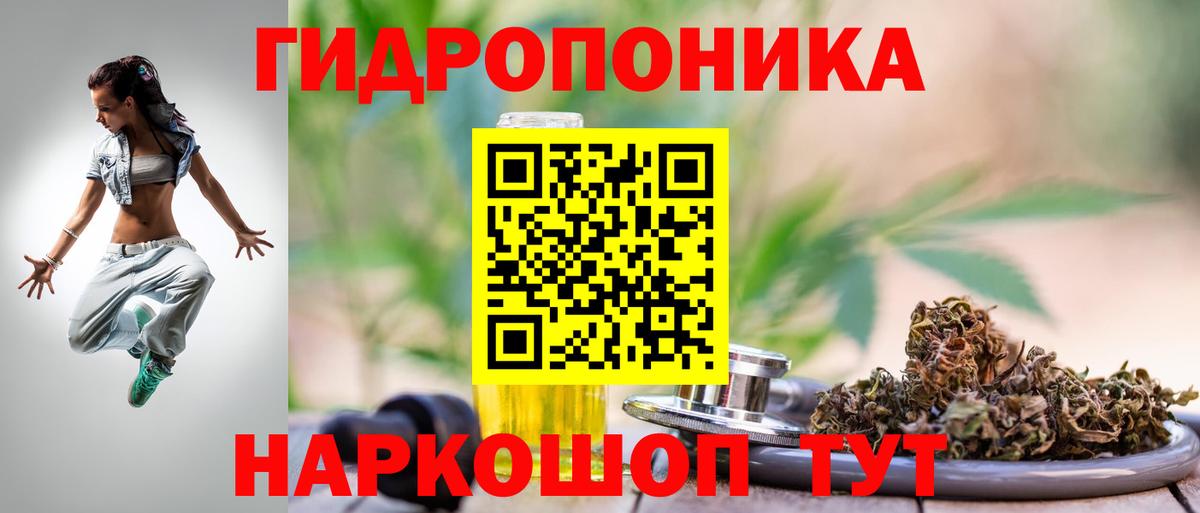 Конопля сатива Йошкар-Ола